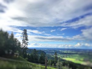 Ausflugsziele Oberbayern - Tregleralm in Bayern